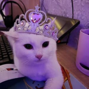 фиолетовая